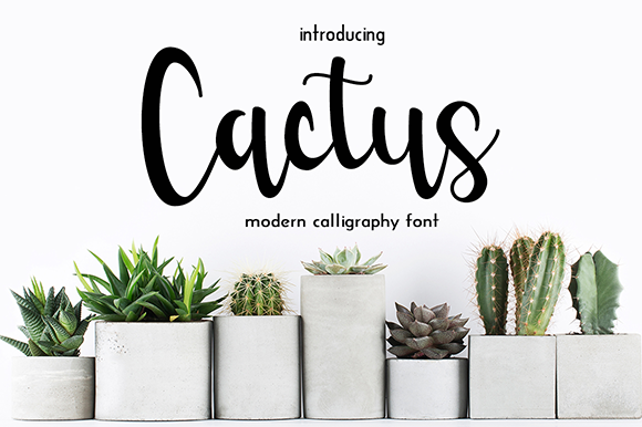 cactus font photoshop download