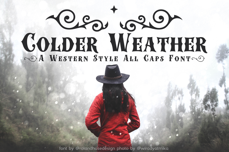 fancy western font