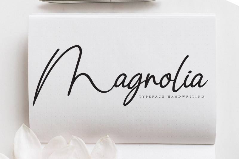 Шрифт magnolia script. Magnolia script. Magnolia font.