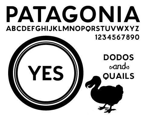 Med andre ord Souvenir Stort univers Download Patagonia font | fontsme.com
