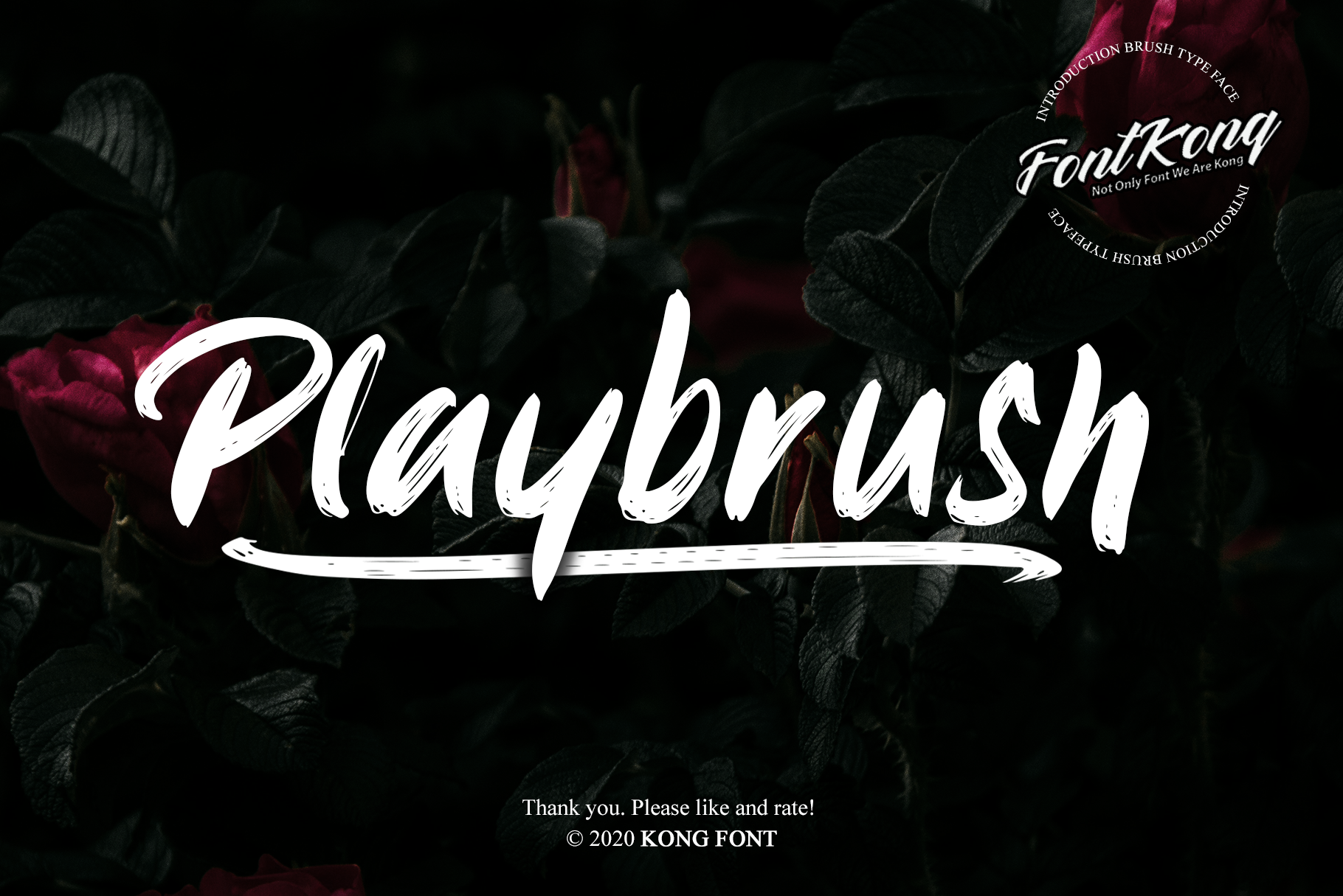 Download Playbrush Swash font | fontsme.com