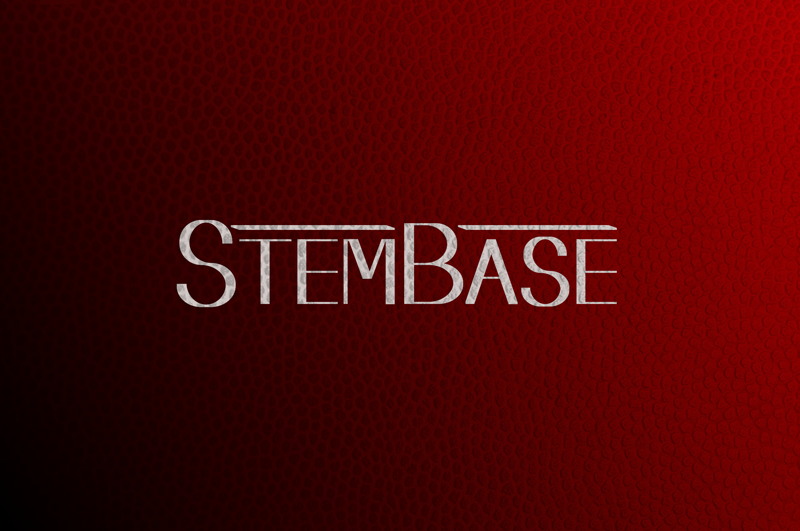 Download Free Download Stembase Font Fontsme Com PSD Mockup Template