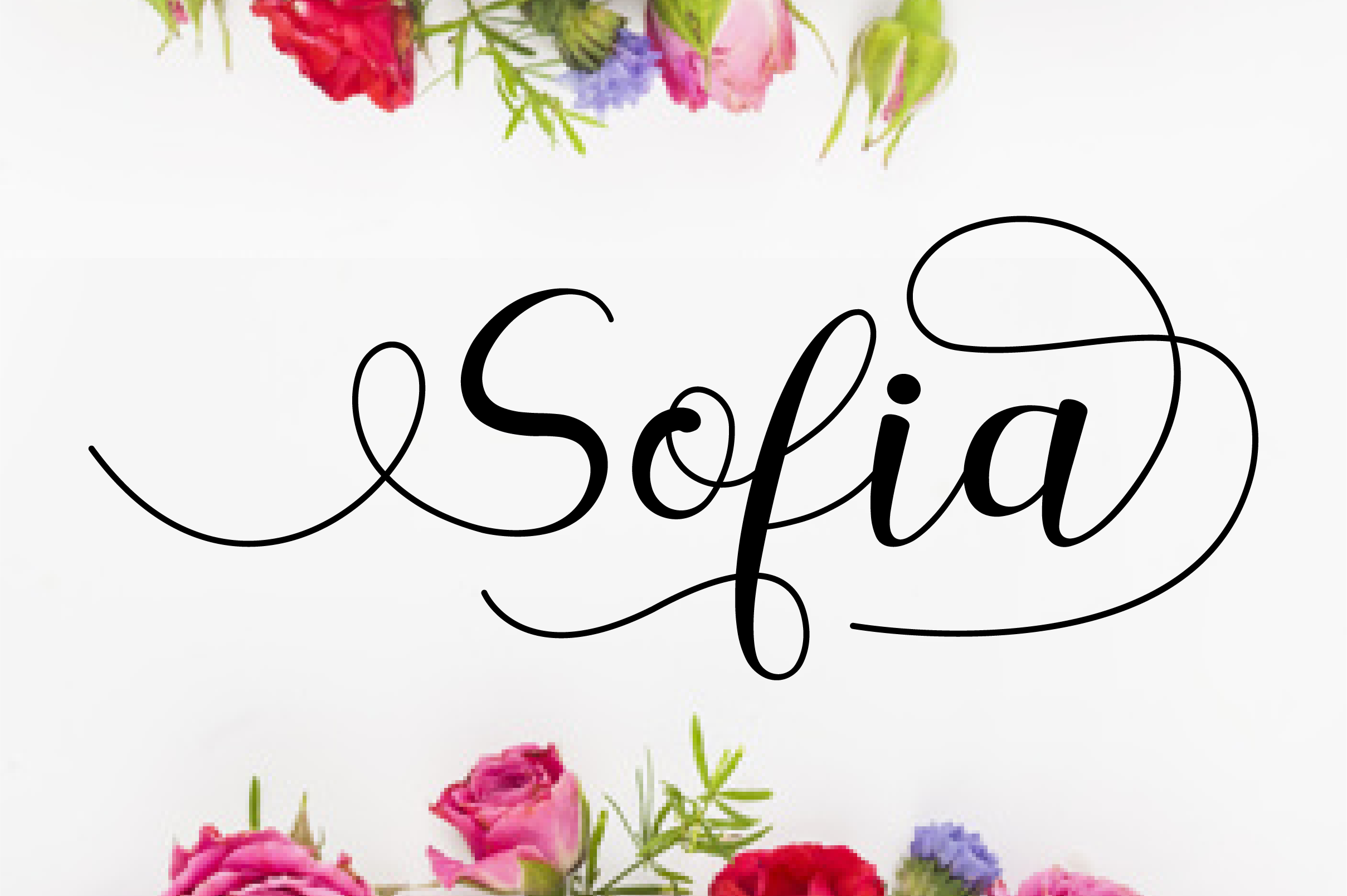 sofia font free download